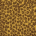 Leopard skin texture seamless patern Royalty Free Stock Photo