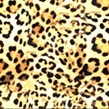 Leopard skin texture seamless pattern colored