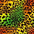 Leopard skin texture seamless pattern colored