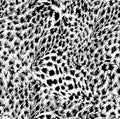 Leopard skin texture seamless pattern colored Royalty Free Stock Photo