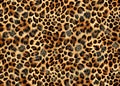 Leopard skin texture. Seamless pattern. Royalty Free Stock Photo