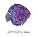 Leopard Snakeskin Discus Symphysodon, hand drawn doodle Royalty Free Stock Photo