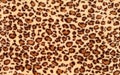 Leopard spots background Royalty Free Stock Photo