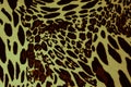 Leopard spots background Royalty Free Stock Photo