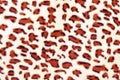 Leopard spots fabric pattern