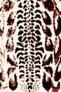 Leopard Spots Pattern. Jungle Print. Bohemian Scarf