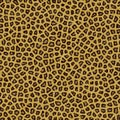 Leopard Texture Background Fur Royalty Free Stock Photo