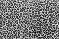 Leopard texture fabric pattern. Leopard print, seamless. Animal effect skin textile design. Black and white background.