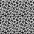 Leopard texture pattern pring image with eps vector file