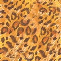 Leopard texture wax crayons seamless pattern on white isolated background. Texture and animal repeating pattern. Design for Royalty Free Stock Photo