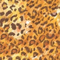 Leopard texture wax crayons seamless pattern on white isolated background. Texture and animal repeating pattern. Design for Royalty Free Stock Photo