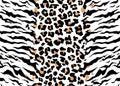 Vector leopard tiger jaguar texture abstract background orange and white black. Vector jungle. Bengal cat strip Royalty Free Stock Photo