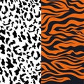 Leopard and tiger pattern print animal vector skin.seamless- funny drawing poster or t-shirt textile graphic wild design. Wallpap