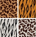 leopard and tiger patterns