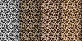 Leopard, tiger seamless pattern, abstract wild animal skin background. Set of leopard textures, design for backgrounds, prints Royalty Free Stock Photo