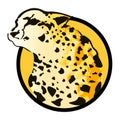 Leopard Vector badge - icon - emblem