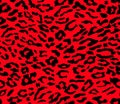Leopard vector Seamless pattern Animal zebra print