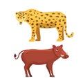 Leopard and warthog vector cartoon illustration