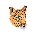 Leopard, wild cat face Royalty Free Stock Photo