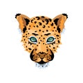 Leopard, wild cat face Royalty Free Stock Photo