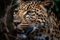 a close up of a jaguar face