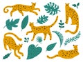 Leopards and plants. Wild animals. Jungle feline predators with tropical leaves. Cute doodle spotted cheetahs in