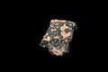 leopardskin jasper on black background Royalty Free Stock Photo