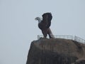 Closeup of beautiful attraction huge statue open wing Eagle or Jatayu Park at Lepakshi above the rock