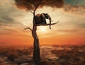 lephant in the sunset. Lonely elephant on tree.