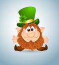Leprechaun Royalty Free Stock Photo