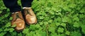 A leprechaun in brown boots stands on the clover grass. A man in brown shoes stands on the grass.