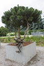 Leprechaun. Garden sculpture