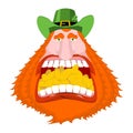 Leprechaun gold. Crazy Dwarf for St. Patrick`s Day. Golden coins Royalty Free Stock Photo