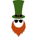 Leprechaun with green hat for St. Patrick`s Day decoration