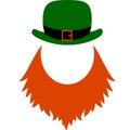 Leprechaun with green hat for St. Patrick`s Day decoration