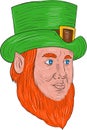 Leprechaun Head Three Quarter View Drawing