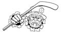 Leprechaun Ice Hockey Sports Mascot Cartoon