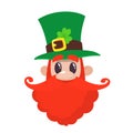 Leprechaun irish character icon vector illustration design