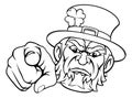 Leprechaun Mascot Cartoon Character Pointing