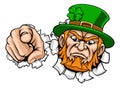 Leprechaun Mascot Cartoon Character Pointing