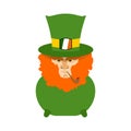 Leprechaun with red beard in pot. St. Patricks Day character. Ir