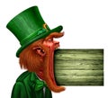 Leprechaun Saint Patrick Sign