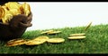 Leprechauns pot of gold on grass for st patricks