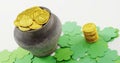 Leprechauns pot of gold with shamrocks for st patricks