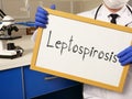 Leptospirosis is shown on the conceptual medical photo