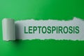 Leptospirosis Text written in torn paper