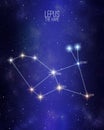 Lepus the hare constellation on a starry space background with the names of its main stars. Relative sizes and different color