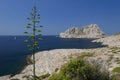 Les Calanques, Marseilles