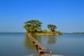 Les Collines de Niassam, Sine-Saloum delta, Senegal