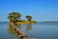 Les Collines de Niassam, Sine-Saloum delta, Senegal